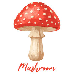 mushroom in watercolor illustration style, isolated vector on white background