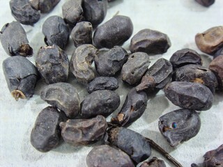 Ligustrum lucidum, known as Fructus Ligustri Lucidi, is a traditional herbal fruit medicine that nourishes yin, strengthens liver and kidney, enhances immunity, and slows aging.