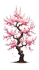 Pink blossom tree against white