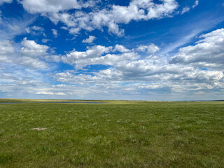 Montana Prairie Under Blue Sky — Wide Open Grassland Landscape with Clouds