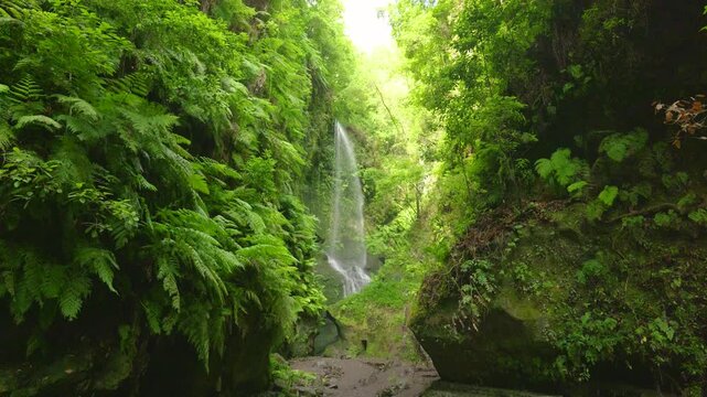 Cascada de los Tilos Waterfall, La Palma, Canary Islands, Spain