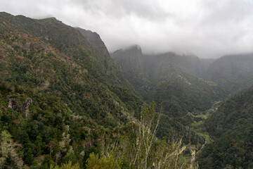 Fototapeta premium View over green mountains at Miradouro dos Balcões viewpoint in Ribeiro Frio, Madeira, Portugal