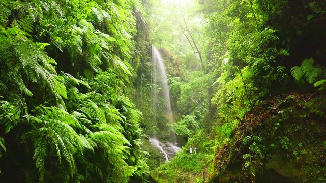 Cascada de los Tilos Waterfall, La Palma, Canary Islands, Spain