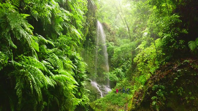 Cascada de los Tilos Waterfall, La Palma, Canary Islands, Spain