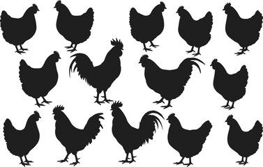Silhouette collection of chickens and roosters, vector farm animal icons for print, design, agriculture themes, and educational illustrations