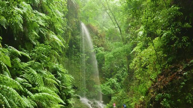 Cascada de los Tilos Waterfall, La Palma, Canary Islands, Spain