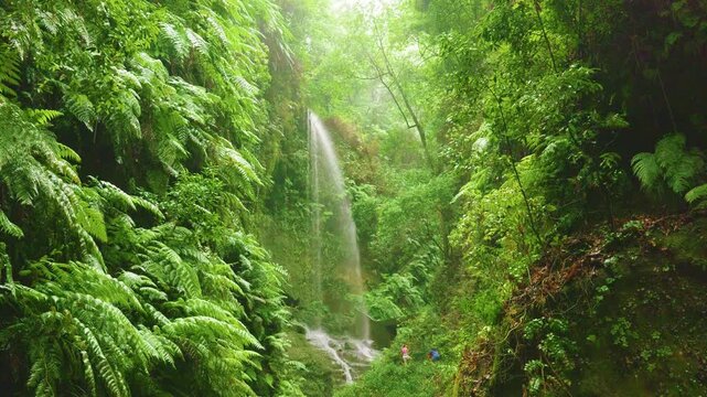 Cascada de los Tilos Waterfall, La Palma, Canary Islands, Spain