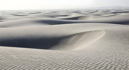 Subtle Textures and Shadows in a Cold, Wind-Sculpted Desert Landscape