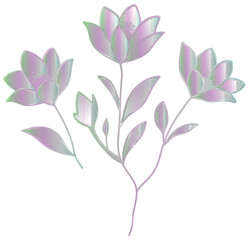 Pastel Gradient Flowers Illustration 