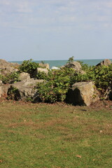 view from the beach