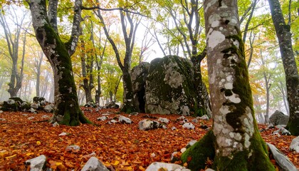 Fototapeta premium Mossy trees surround a large stone structure in an autumnal forest