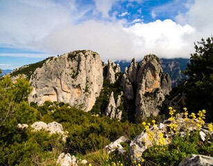 Mountain vista with rocky peaks and wildflowers