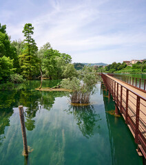 Fototapeta premium parco
