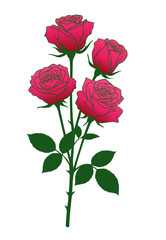 Fototapeta premium Rose flower isolated vector
