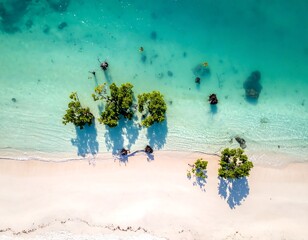 Aerial view of a pristine beach with turquoise water and mangrove trees