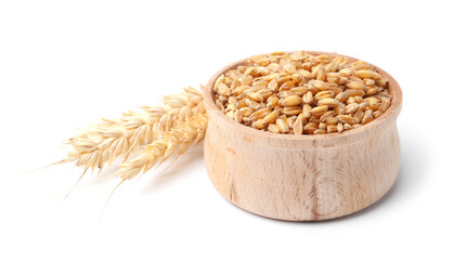 Wheat grains in bowl and dry spikes isolated on white