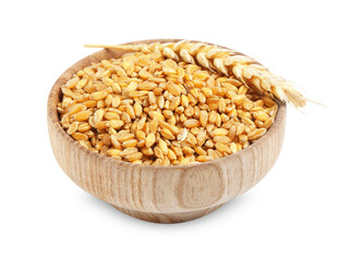 Wheat grains in bowl and dry spike isolated on white