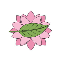 Fototapeta premium A vibrant pink lotus flower with a green leaf, symbolizing tranquility and beauty against a white background