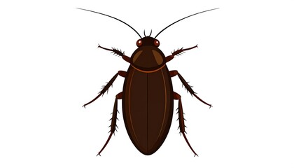 Cartoon cockroach, detailed view