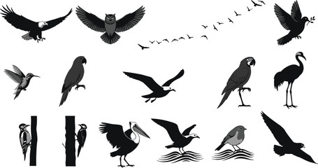 Birds silhouettes, eagle, owl, dove, hummingbird, parrot, flamingo, pelican, woodpecker, flying birds, wildlife, nature, bird flock, peaceful scene