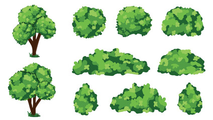 Cartoon shrub bush set. Garden green decoration bushes, illustrated hedge shrubs plants isolated on white