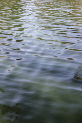 water reflection in the water