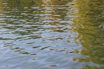 water flowing into the river