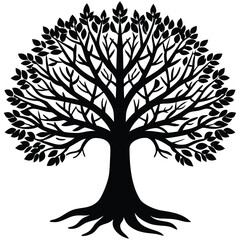 Obraz premium vintage tree of life etching isolated on white background