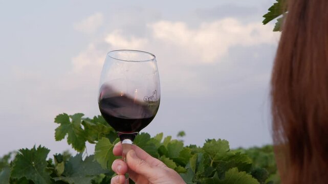 Close-up of a glass of wine being held by a 50-year-old white woman with red hair. She is in a vineyard, drinking and enjoying the surroundings, turning her head towards the camera at sunset on a summ