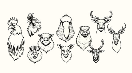A collection of hand-drawn animal head illustrations, showcasing various farm and wild creatures in a detailed, black and white style.