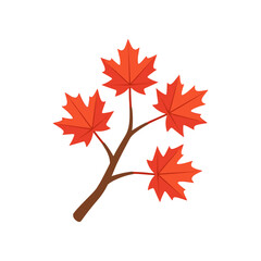 Fototapeta premium A vibrant autumn branch with red maple leaves against a clean white background