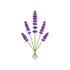 Naklejka premium A vibrant bouquet of lavender flowers in full bloom against a clean white background