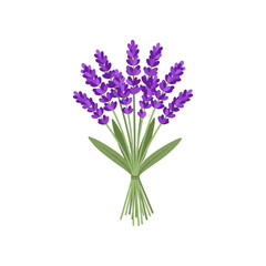Fototapeta premium A vibrant bouquet of lavender flowers with green leaves, symbolizing tranquility and beauty