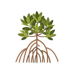 Illustration of a healthy mangrove tree with vibrant leaves and intricate root system in a minimalist style