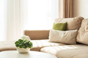 Cozy Living Room Corner with Sofa, Coffee Table and African Violet