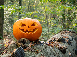 Spooky Jack-o&rsquo;-lantern glowing outdoors in seasonal autumn setting.
