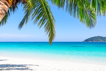  Amazing white sand beach with coconut palm tree in ​​Similan Islands in Andaman Sea, off the coast and part of Phang Nga Province in southern Thailand.