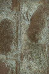 A wall with a greenish brown color