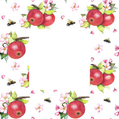 apples on a branch, flowers and bumblebees, watercolor frame, illustration for packaging, design, invitations, postcards