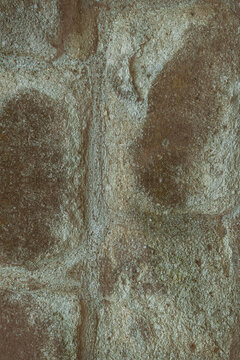 A wall with a greenish brown color