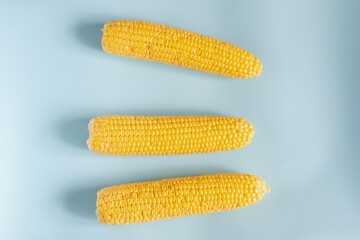 Three yellow corn cobs are on a blue surface
