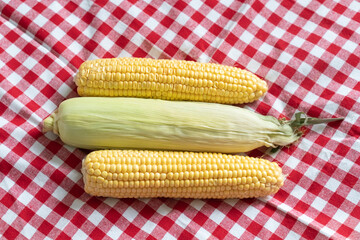 Three yellow corn cobs are on a red and white checkered tablecloth