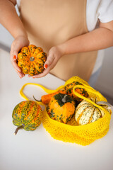 Seasonal Home Decoration –woman hands holding Pumpkins in Eco-Friendly Bag on Table