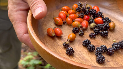 Freshly Foraged Wild Blackberries and Rose Hips in Rustic Wooden Bowl