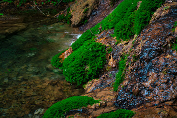 Majestic Beli Izvorac waterfall in the serene landscape of Serbia