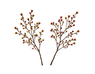 Fototapeta premium Delicate Branches with Colorful Buds for Artistic Nature Designs