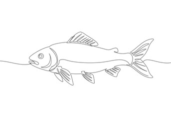 A fish illustration with detailed fins and scales depicted in a continuous line drawing style