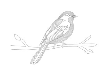 Bird perched on a branch illustration with detailed line work and simplified leaf outlines