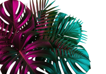 Close-up layered tropical monstera, palm, and fern leaves glowing with neon pink and cyan light in a dark, high-contrast studio, vivid futuristic aesthetic