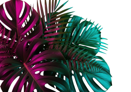 Close-up layered tropical monstera, palm, and fern leaves glowing with neon pink and cyan light in a dark, high-contrast studio, vivid futuristic aesthetic